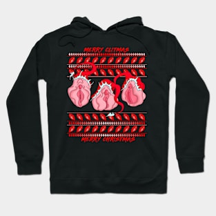 Sexy Christmas Vulvas Feminist Hoodie